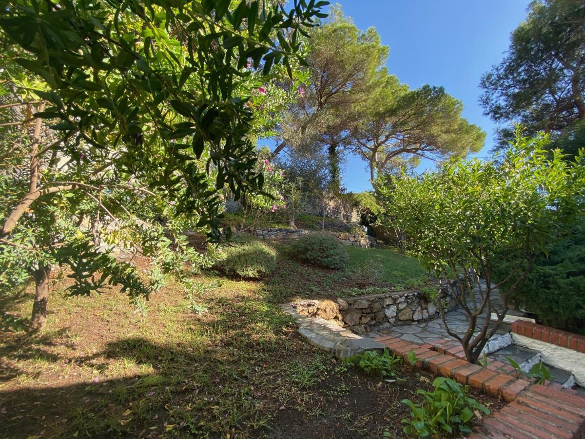 Appartamenti La Pineta Marina dʼMarina dʼAndora Buitenkant foto